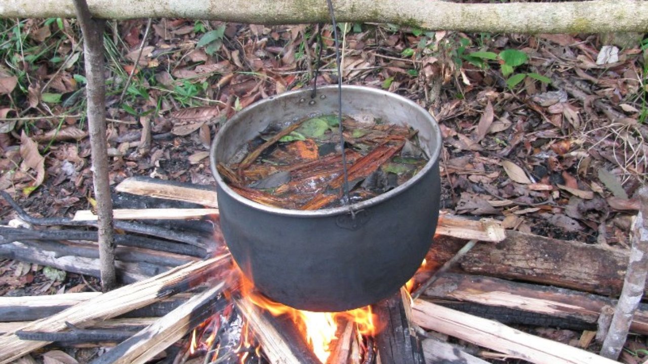 Ayahuasca Chemical May Treat Diabetes