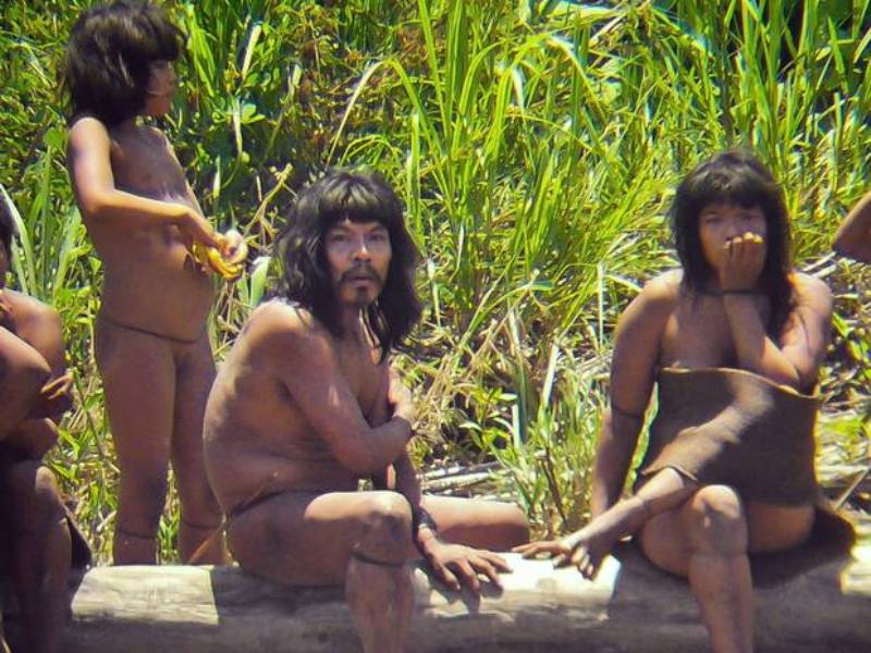 Uncontacted tribe kills man in Madre de Dios