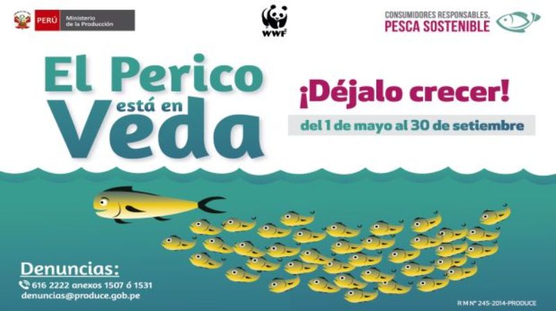 Peru’s first Mahi Mahi fishing prohibition begins