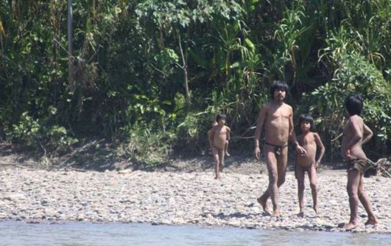 Government to engage uncontacted tribes in Amazon