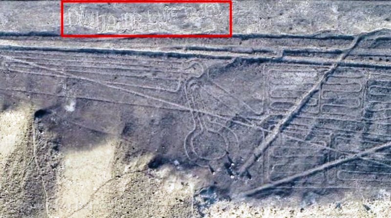 Nazca Lines geoglyph of pelican vandalized