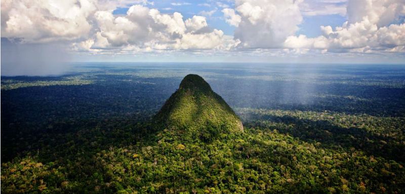 Peru designates Sierra del Divisor as national park