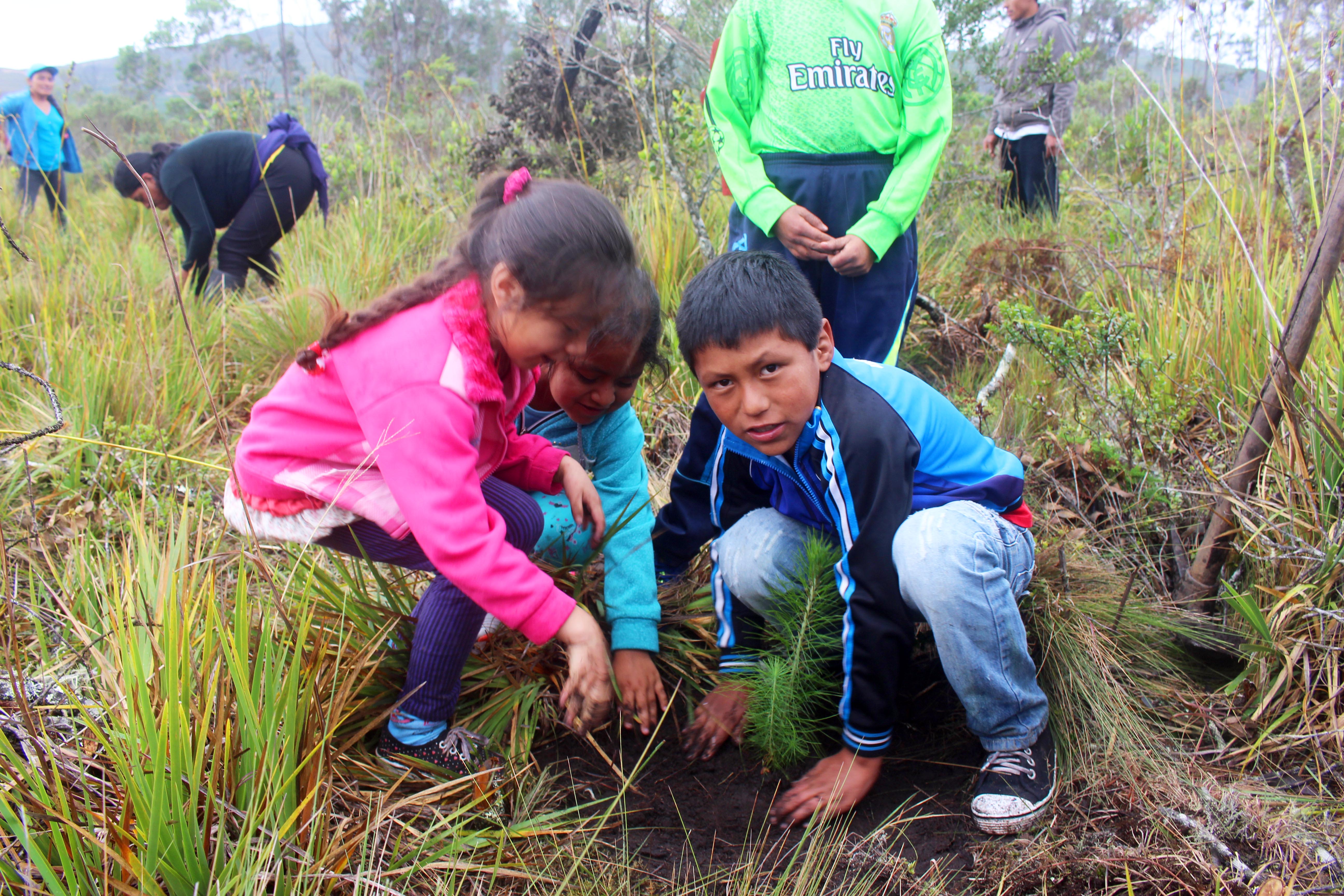 Peru reforestation campaign helps thousands out of poverty