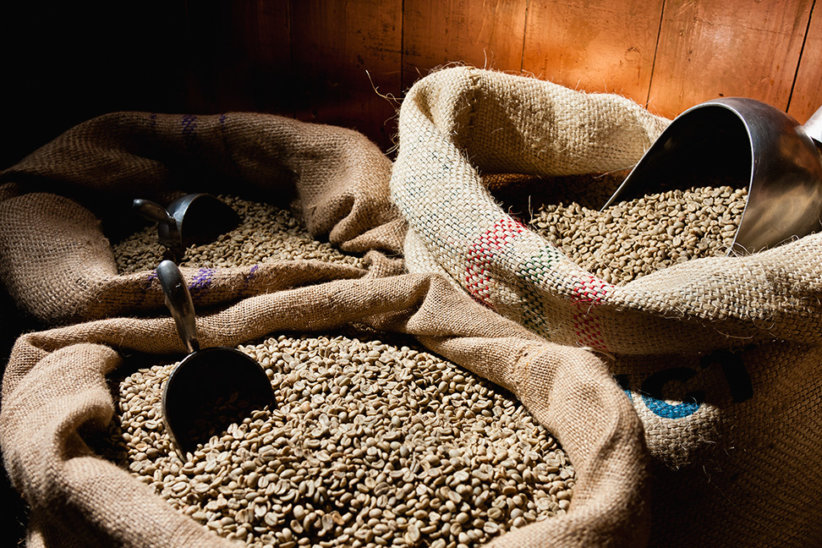 Peru's Cajamarca region leading coffee exporter in the country